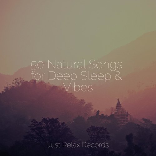 50 Natural Songs for Deep Sleep & Vibes