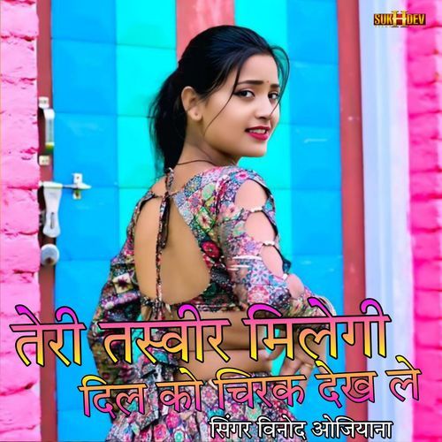 तेरी तस्वीर मिलेगी दिल को चिरक के देख ले