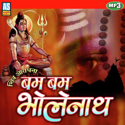 Bam Bam Bholenath Shiv Bhajan_poster_image