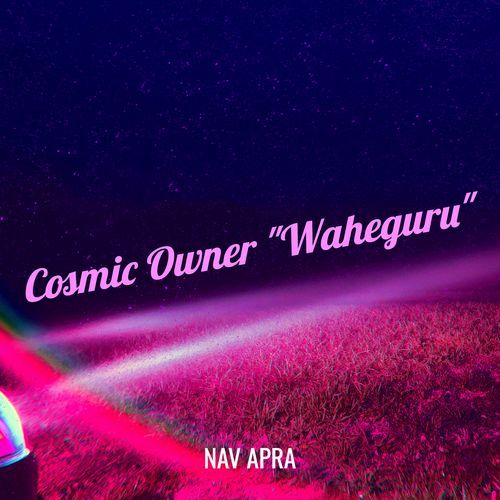 Cosmic Owner "Waheguru"