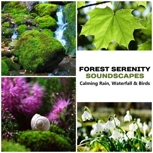 White Noise: Forest Sounds for Stress Management cover art