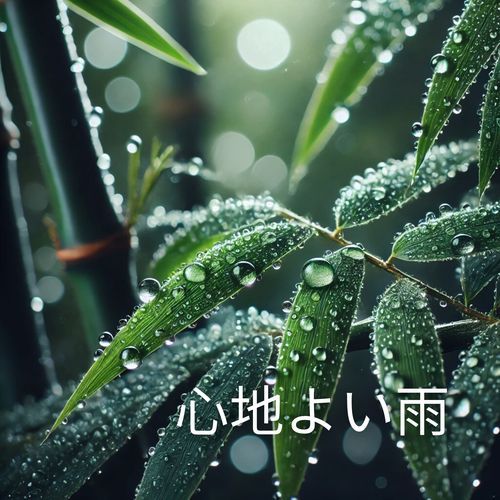 心地よい雨：あなたの穏やかな空間を作る