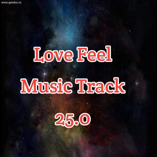 Love Feel Music Track 25.0