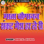 Mata Chauganan Sankat Mera Har Le Ri