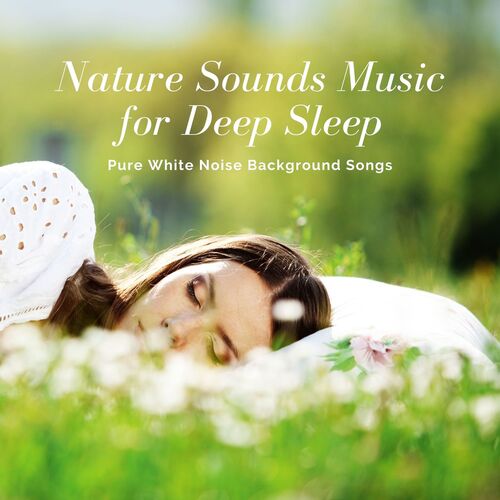 Sleep Doctor cover art