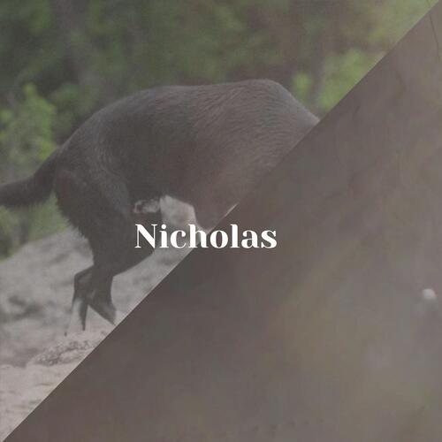 Nicholas cover art