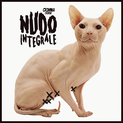 Nudo integrale