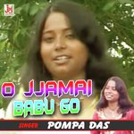 O Jamai Babu Go
