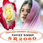 PARVEZ SINGER SR2060