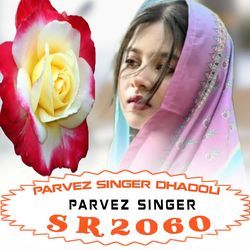 PARVEZ SINGER SR2060