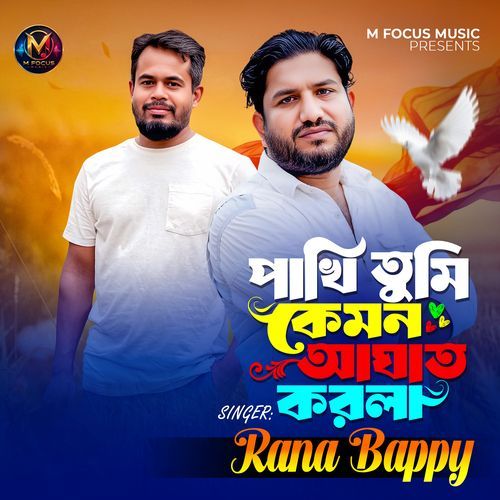 Pakhi Tumi Kamon Aghat Korla
