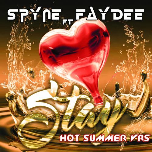 Stay (Summer Hot Version)_poster_image