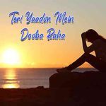 Teri Yaadon Mein Dooba Raha