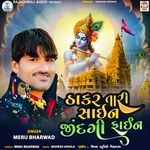 Thakar Tari Sigh Jindagi Fine