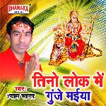 Tino Lok Me Gunje Maiya