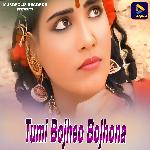 Tumi Bojheo Bojhona