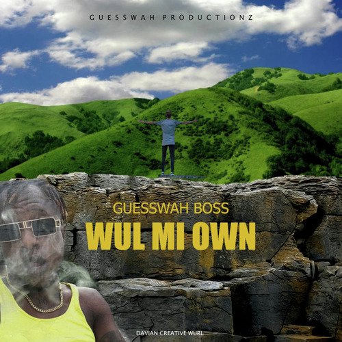 Wul MI Own_poster_image