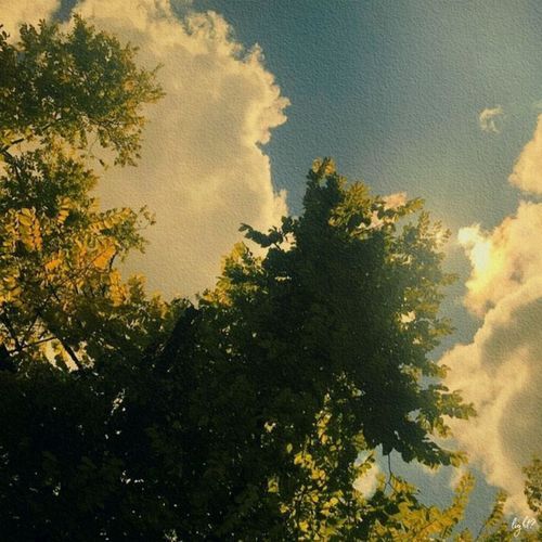 echoes of a fading present (speed up)