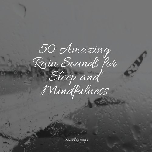 50 Amazing Rain Sounds for Sleep and Mindfulness_poster_image