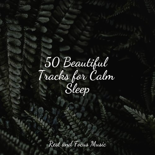 Chakra Shaman Healing cover art
