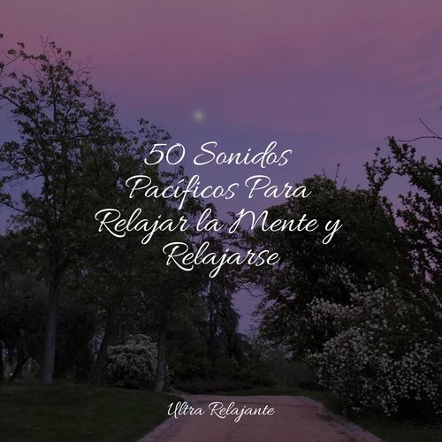 50 Sonidos Pacíficos Para Relajar la Mente y Relajarse_poster_image