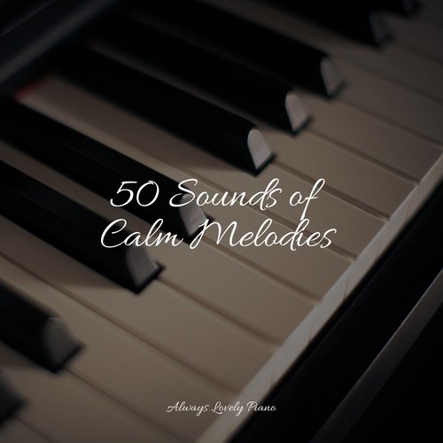 Memory Sense cover art