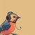 Ambient Birds Sounds, Pt. 1730 (Ambient Soundscapes with Birds Sounds to Relax)