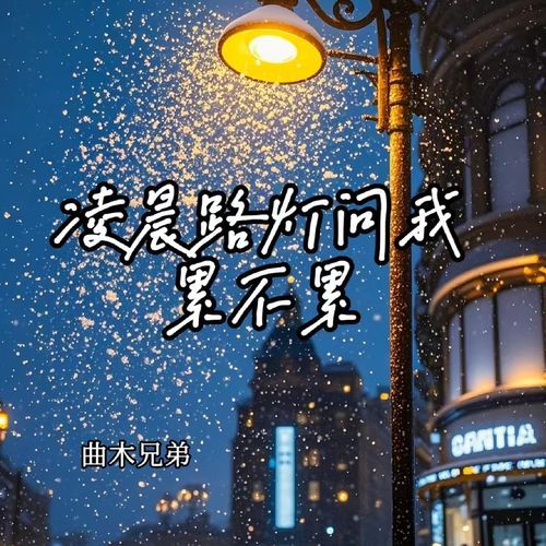凌晨路灯问我累不累 (伴奏)