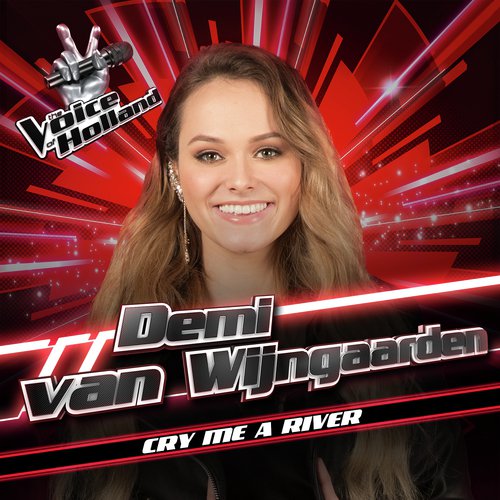 Cry Me A River (The Voice Of Holland Season 8)