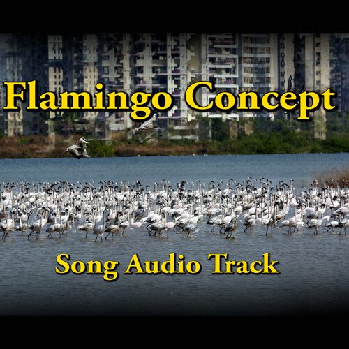 Flamingo Concept