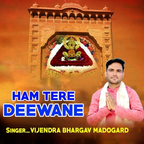 HAM TERE DEEWANE