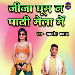 Jija Ghoom Na Payi Mela Mein