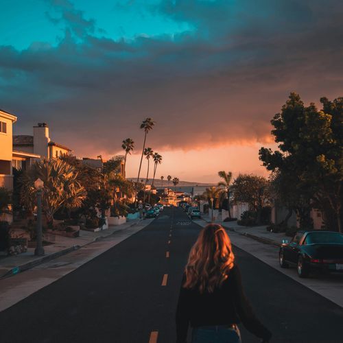 La La Land