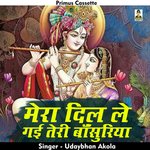 Mera dil le gai teri bansuriya (Hindi)