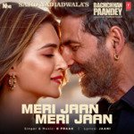 Meri Jaan Meri Jaan (From &quot;Bachchhan Paandey&quot;)