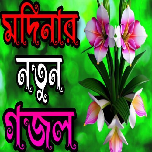 Modinar Gojol