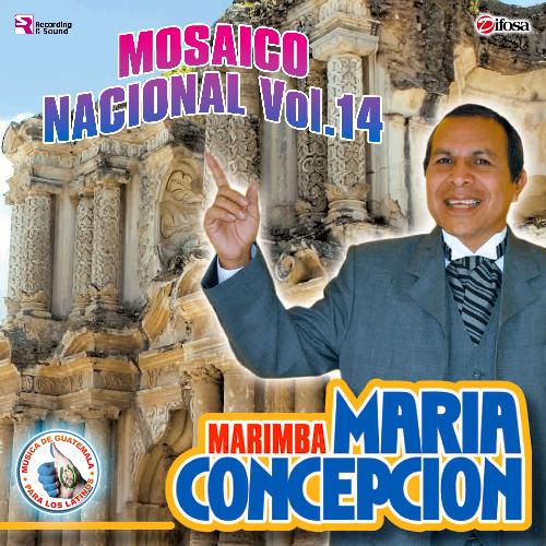 Mosaico Nacional Vol. 14: Por Qué Será / El Caitudo / Jardin Mazateco / Alegres Camineros / Colonia Monte Real / Concepción Tutuapa / Santa Lucía Cotzumalguapa / Al Compás de la Guaracha cover art