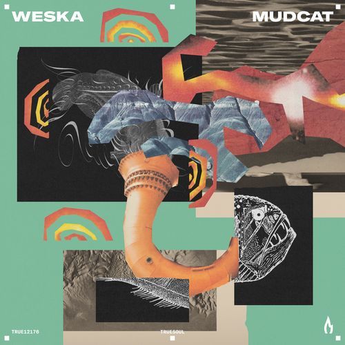 Mudcat cover art