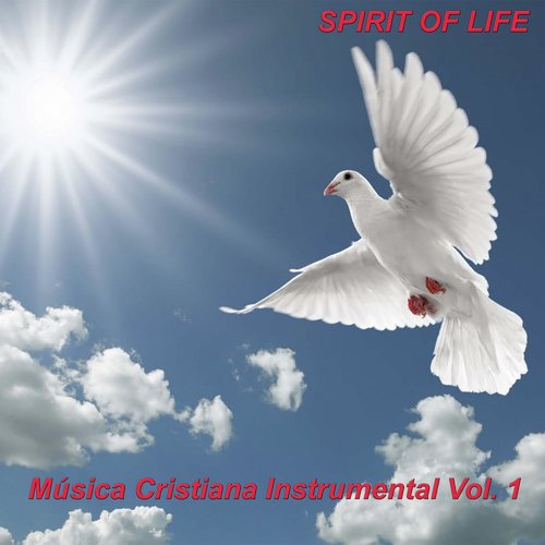 Musica Cristiana Instrumental Vol 1