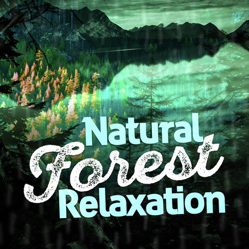 Natural Forest Relaxation_poster_image