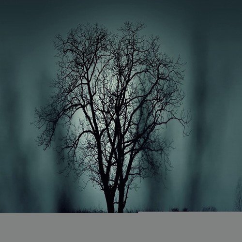 Simon cover art