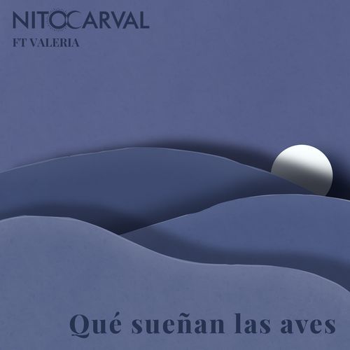 Qué sueñan las aves_poster_image