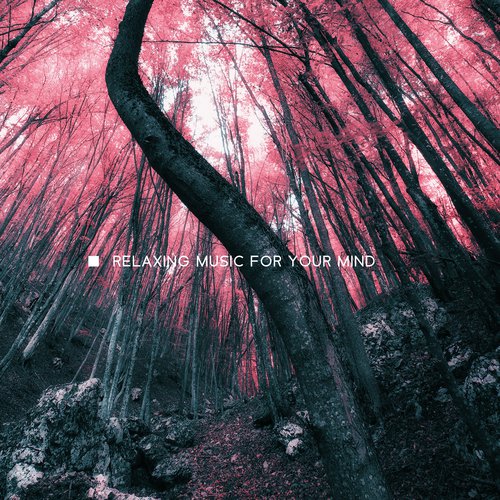 White Noise Spa cover art