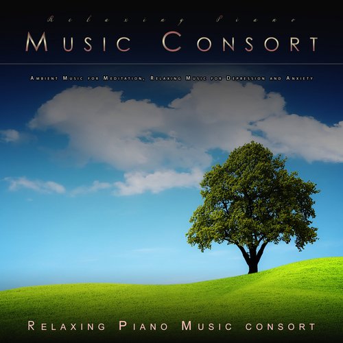 Relaxing Piano Music Consort: Ambient Music for Meditation, Relaxing Music for Depression and Anxiety_poster_image