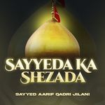 Sayyeda Ka Shezada artwork
