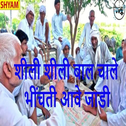 Sheeli Sheeli Baal Chaale Bhinchti Aawe Jaadi (Original)