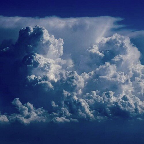 Blue Forest cover art