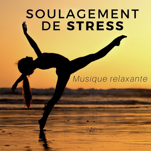 Soulagement de Stress -  Musique relaxante, élixirs sonores hautement efficace,carillons, musique apaisante et sons de la nature