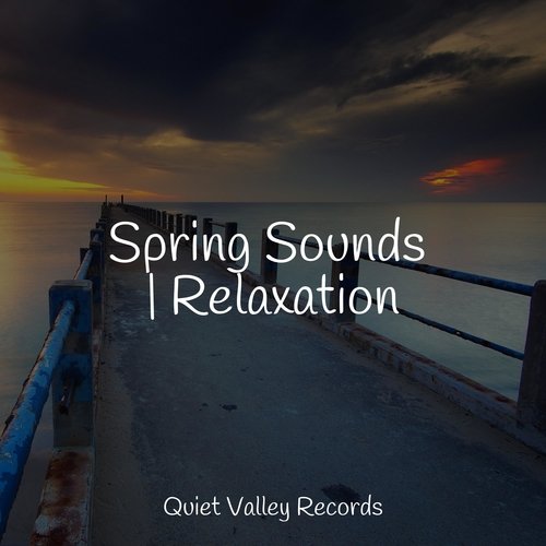 Spring Sounds | Relaxation