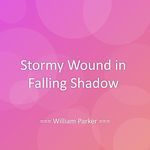 Stormy Wound in Falling Shadow